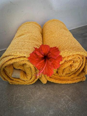 Mangrove Beach Chalets — photo 12
