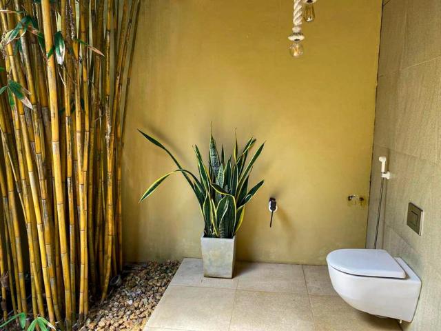 Mangrove Beach Chalets — photo 8