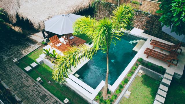 Dalai Tropical — photo 1