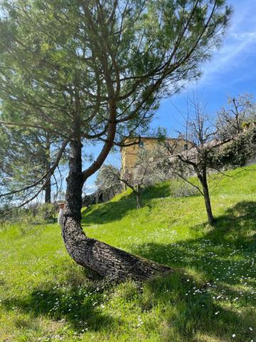 CANALE SUITE - Resort Panoramico - Free Parking - Stunning View — photo 18