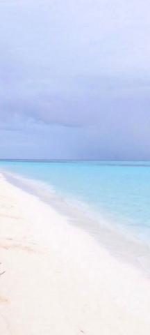 Shadow Palm House Maldives — photo 11