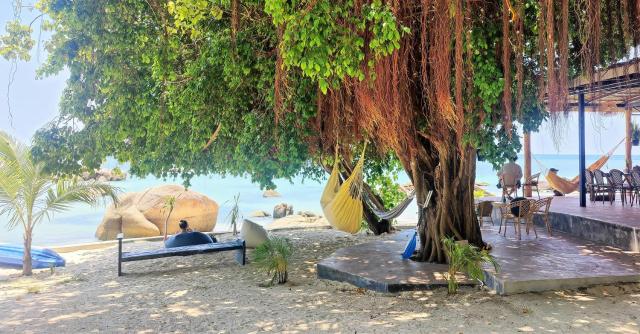 Ocean Vibes Resort — photo 5