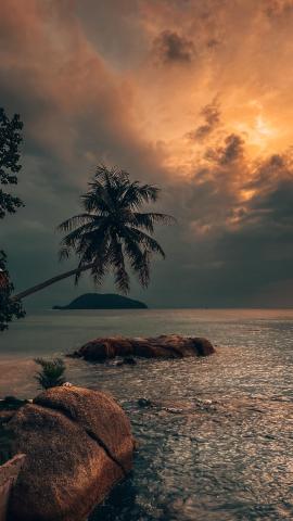 Ocean Vibes Resort — photo 19