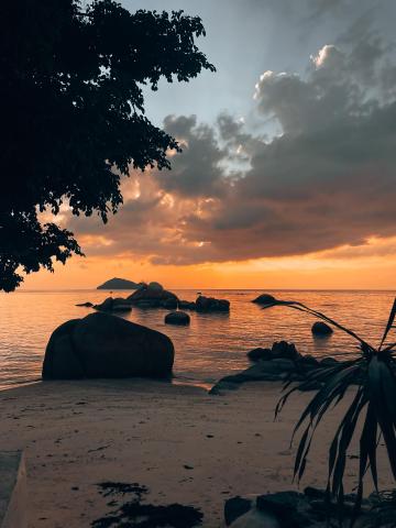 Ocean Vibes Resort — photo 18