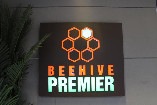 Beehive Premier — photo 7