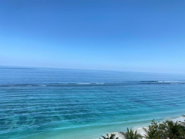 The Hive Beach — photo 11