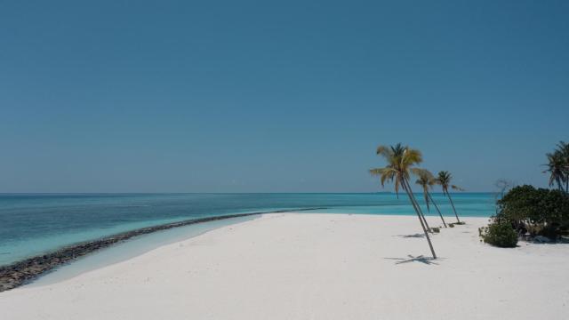 Rushkokaa Beach Villa — photo 17