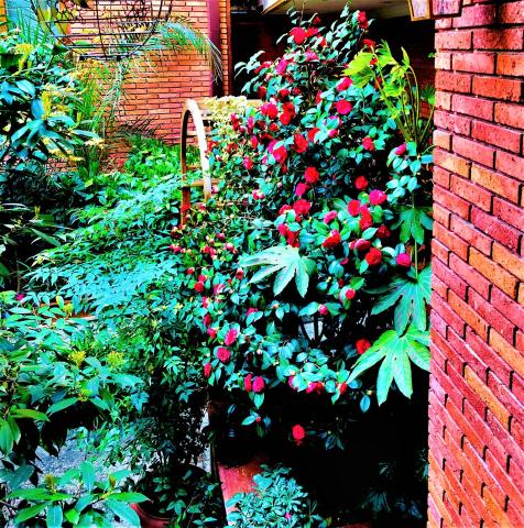 Hotel British House — photo 18