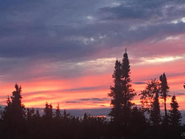 Tolsona Lake Lodge — photo 11