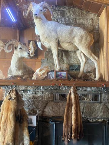 Tolsona Lake Lodge — photo 12