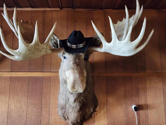 Tolsona Lake Lodge — photo 9