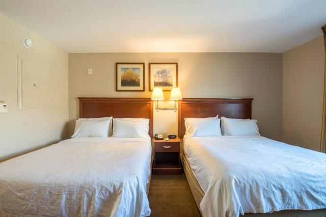 Western Slope Suites — photo 11