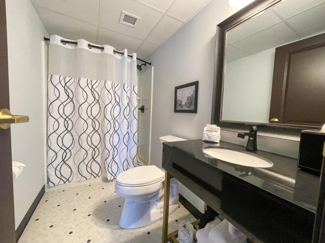 The Alonzo Ward Hotel — photo 22