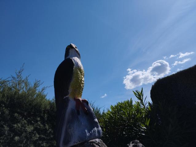 Posada del Moral — photo 18
