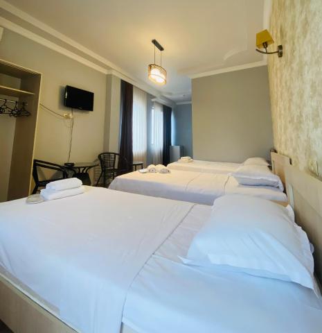 Hotel Phaliashvili — photo 22