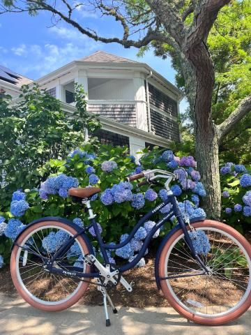 Greyfinch Chatham Inn — photo 9