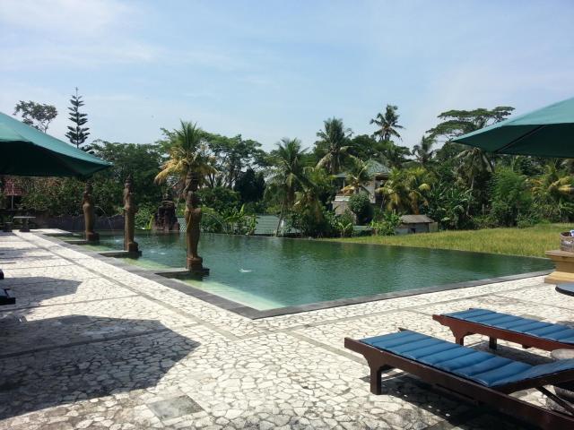 Cendana Resort & Spa Ubud by Mahaputra — photo 24