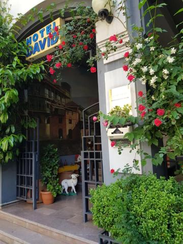 David Hotel - Ethno style — photo 1