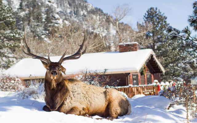 McGregor Mountain Lodge — photo 7