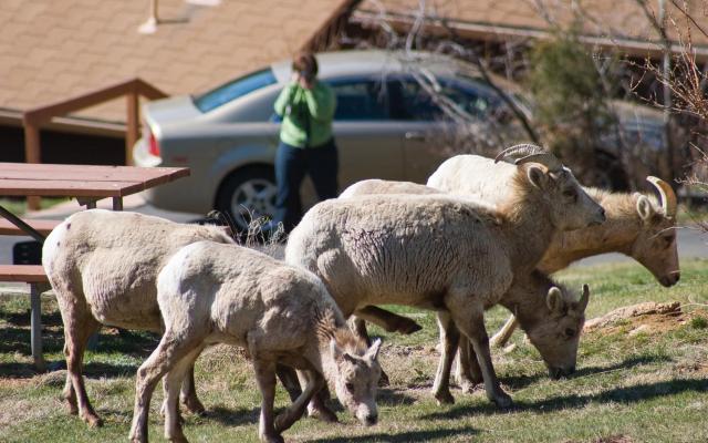 McGregor Mountain Lodge — photo 9