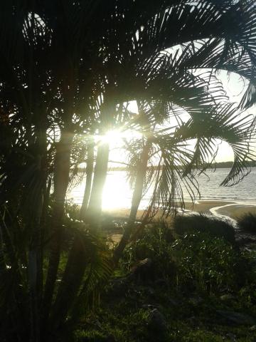 Hôtel Amazonia du Fleuve*** — photo 12