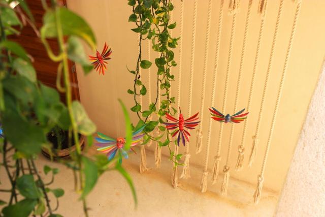 Tierra Mia Boutique Hotel — photo 7