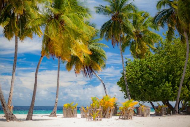 Dhonfulhafi Beach View & Spa — photo 24
