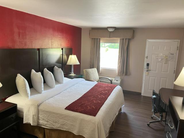 Pine Tree Inn — photo 22