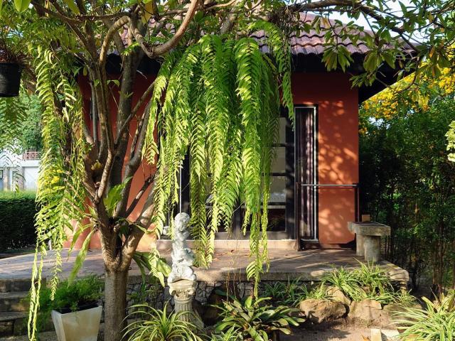 Bayview Resort — photo 10