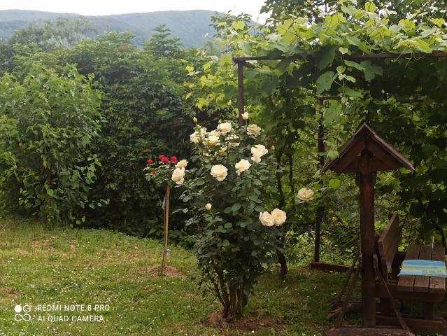 Guesthouse Blazenka Hodak — photo 10