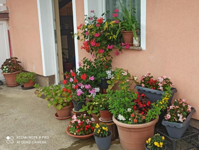 Guesthouse Blazenka Hodak — photo 8