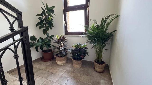 Guest House Le Vagabonde — photo 9