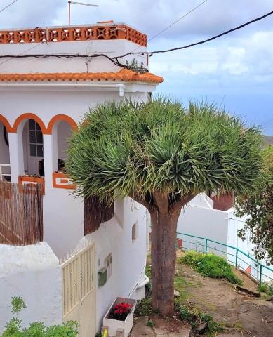 Acoran Family Ocean View Guest House With Daily Yoga Practice Included North Gran Canaria PRIVATE ROOM PET FRIENDLY — photo 1