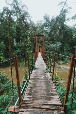 Sinharaja Forest Gate — photo 23
