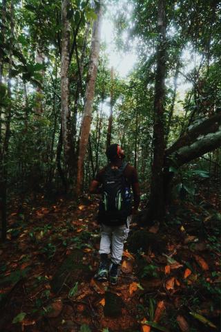Sinharaja Forest Gate — photo 16