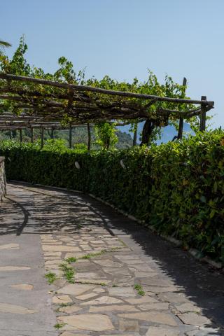Villa Costanza sorrento B&b — photo 23