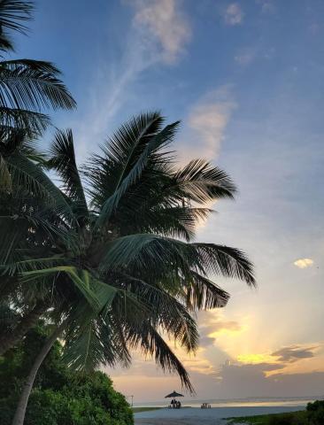 Fehi Velaa Stay — photo 10
