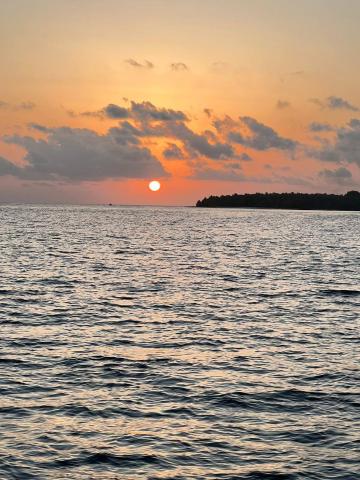 Balma Beach Inn — photo 21