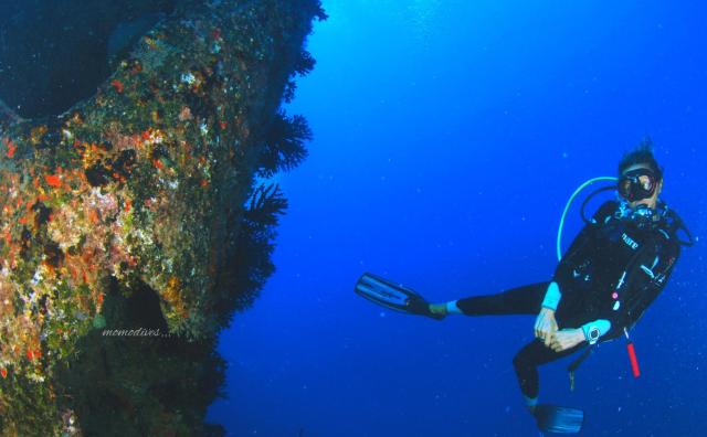 Annama Lodge and Dive — photo 12