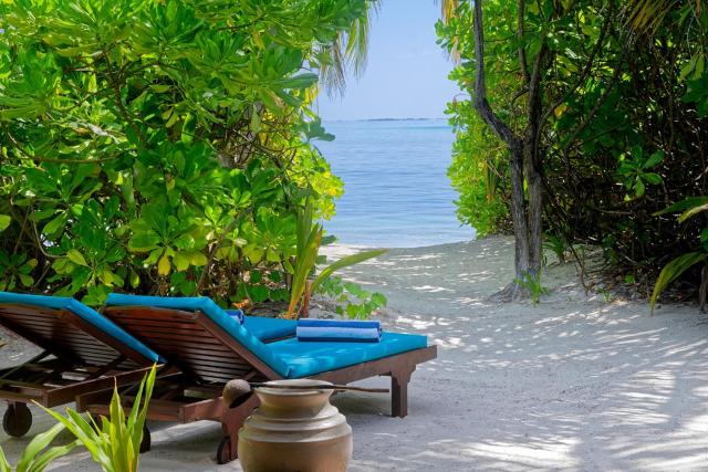 Canareef Resort Maldives — photo 16