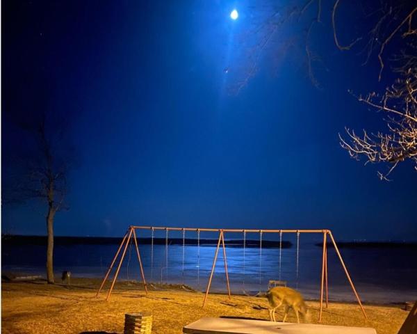 Cozy Cove Resort — photo 1