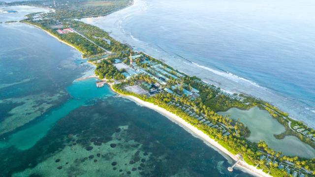 Canareef Resort Maldives — photo 19