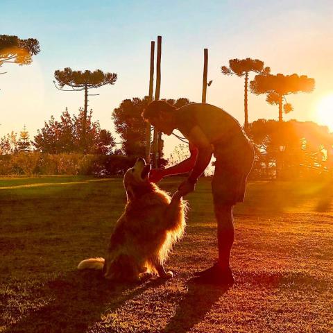 Surya-Pan Refúgio Hotel - Super Pet Friendly — photo 18