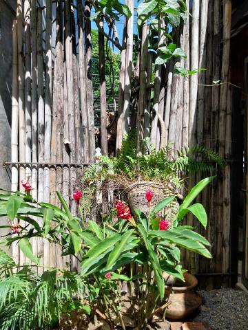 Arun Rawee — photo 11