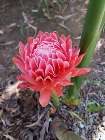 Arun Rawee — photo 15