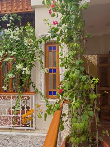 RIAD LALLA ZINEB — photo 20
