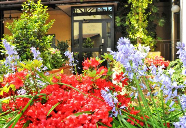 Hotel San Siro Fiera — photo 9