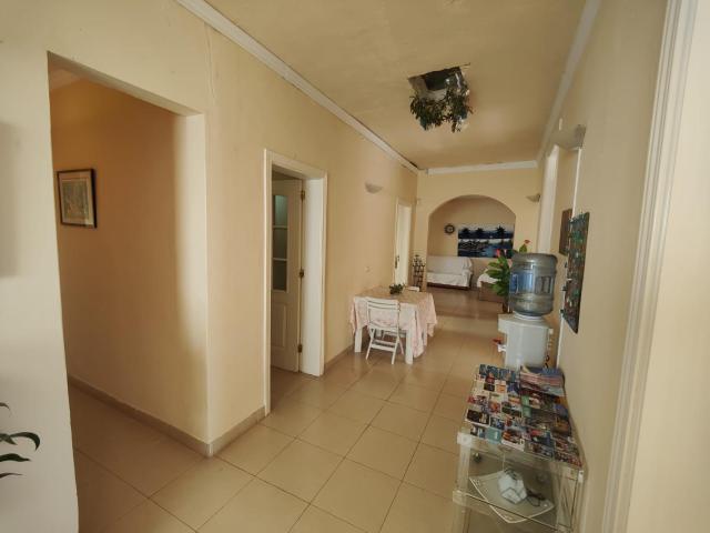 Alma libre — photo 1
