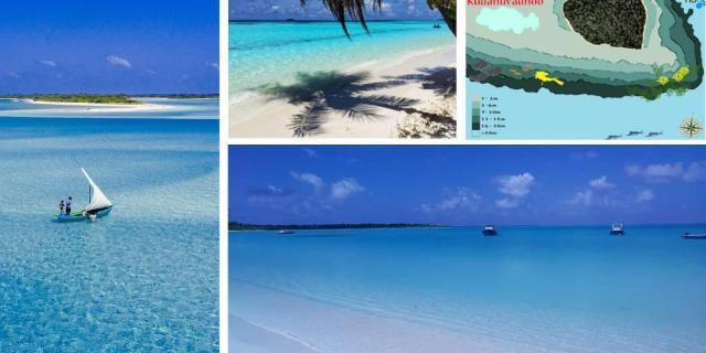 Oceana Inn Hotel Maldives — photo 16