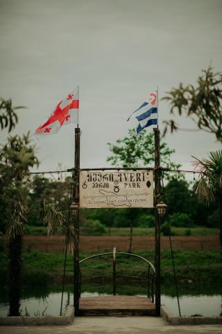 IVERIABEACH — photo 17